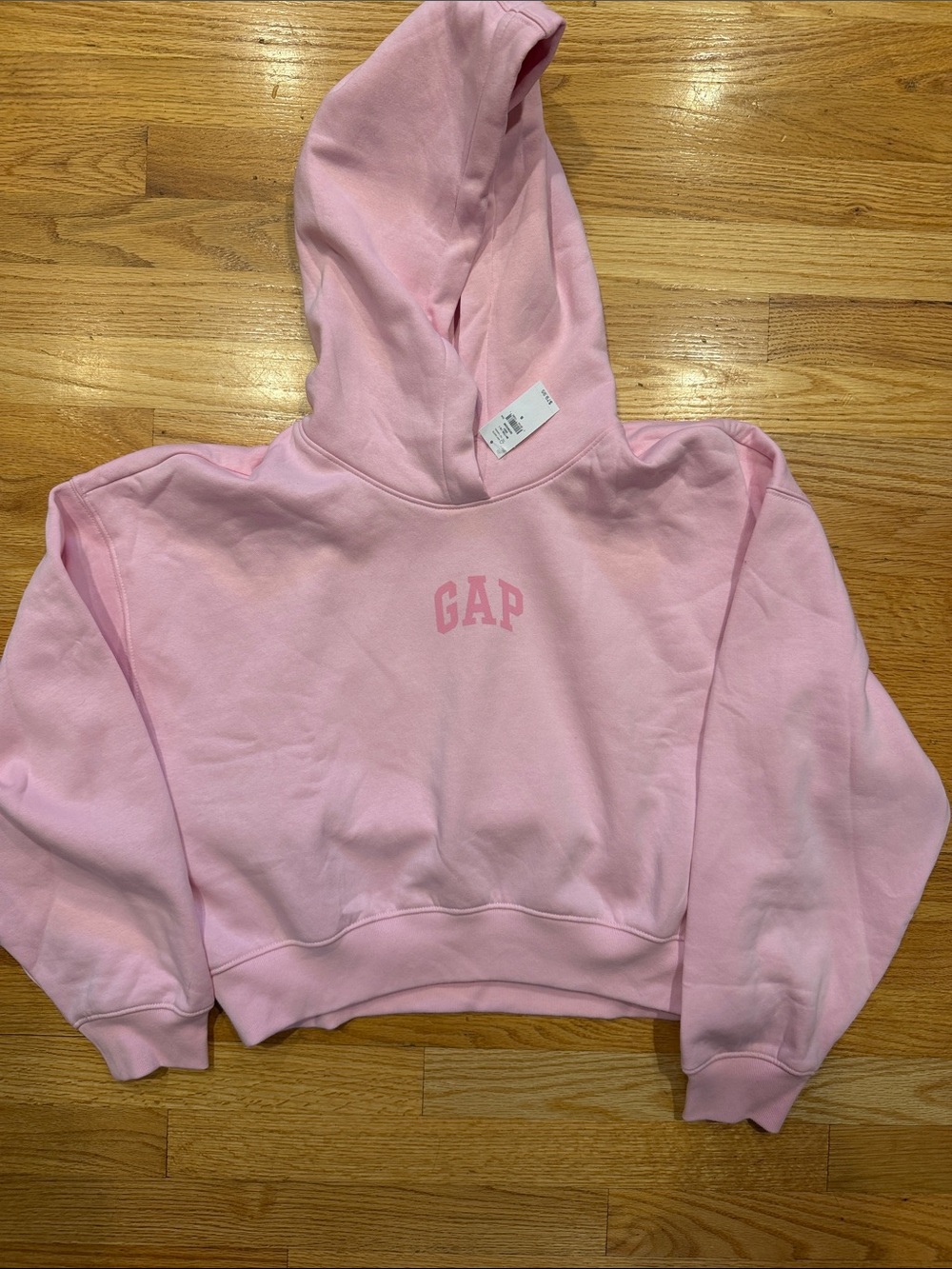 NWT GAP Light Pink Pullover Hoodie